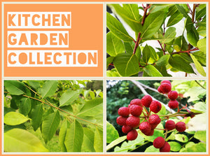 Kitchen Garden Collection
