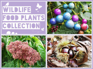 Wildlife Food Plants Collection