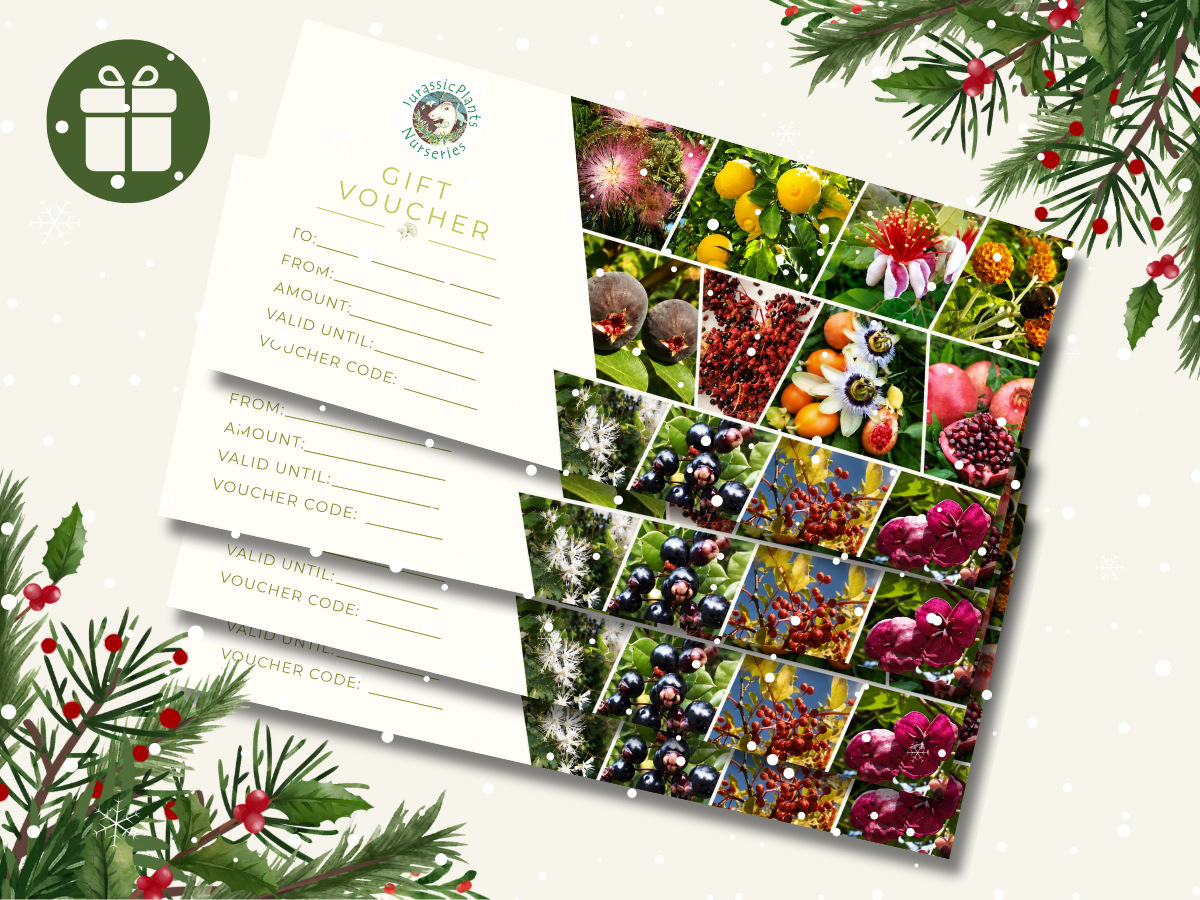 Jurassicplants Gift Voucher