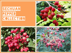 Sechuan Pepper Collection