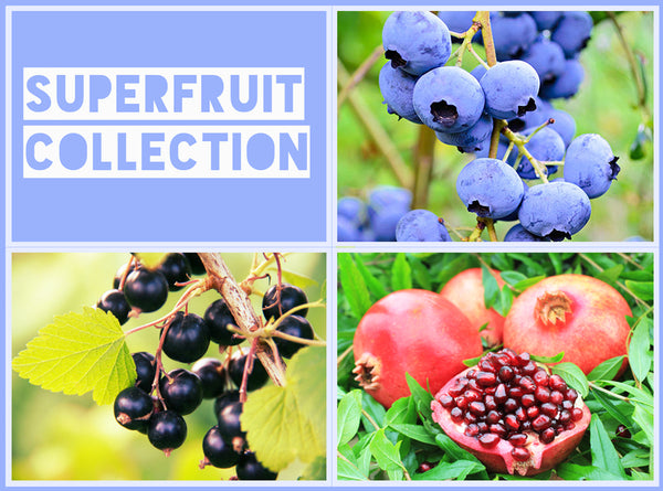 Superfruits Collection - Jurassicplants Nurseries