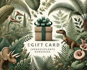 e-Gift Card