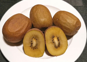 Actinida chinensis - Smooth Yellow Kiwi