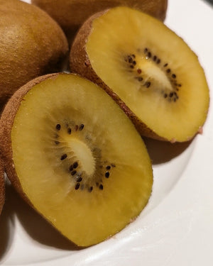 Actinida chinensis - Smooth Yellow Kiwi