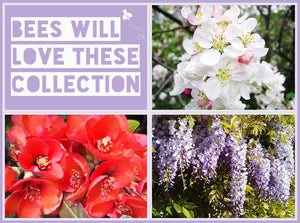 Bees Will Love These Collection