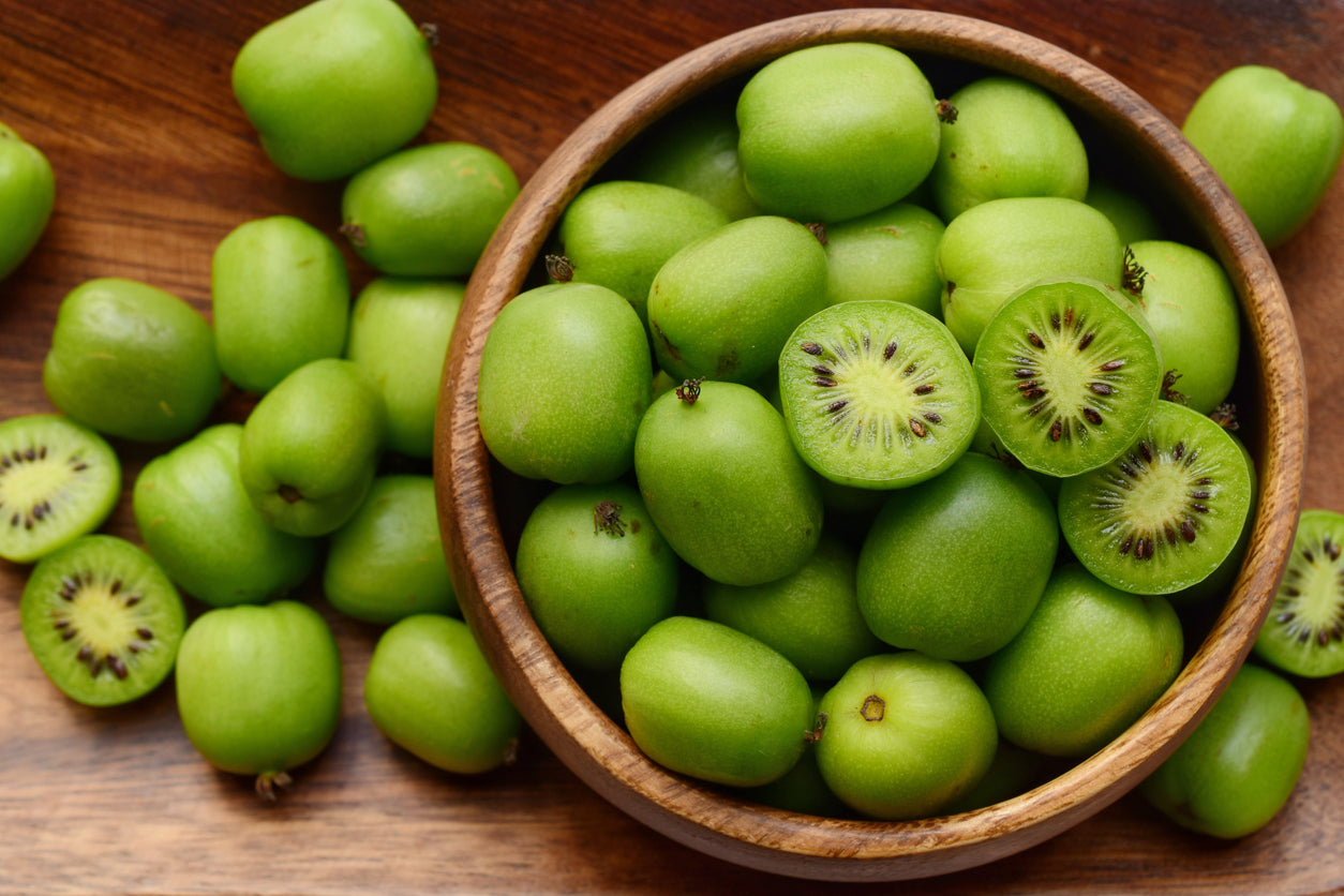 Comprar plantas de Baby kiwi, Actinidia arguta Comprar plantas de Baby kiwi, Actinidia arguta