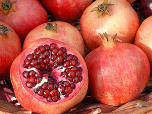 Fruiting Pomegranate Collection